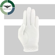 (Qty. 6) Premium -- 100% Leather Golf Glove - Gift Subscription